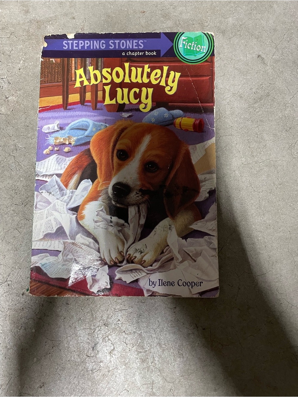 Stepping Stones: Absolutely Lucy - Kids Chapter Book (Purple/Red Cover)